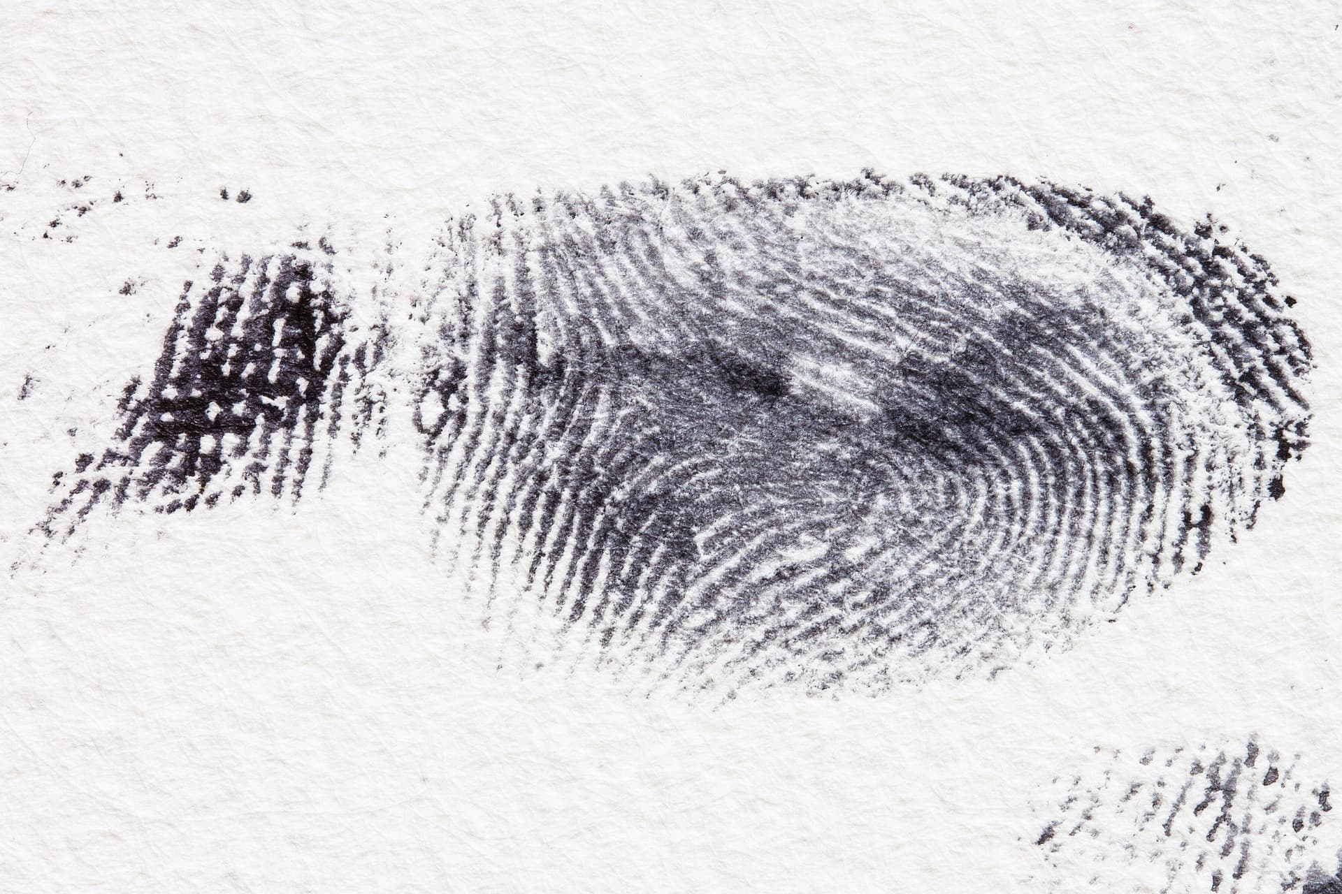 Fingerprinting services